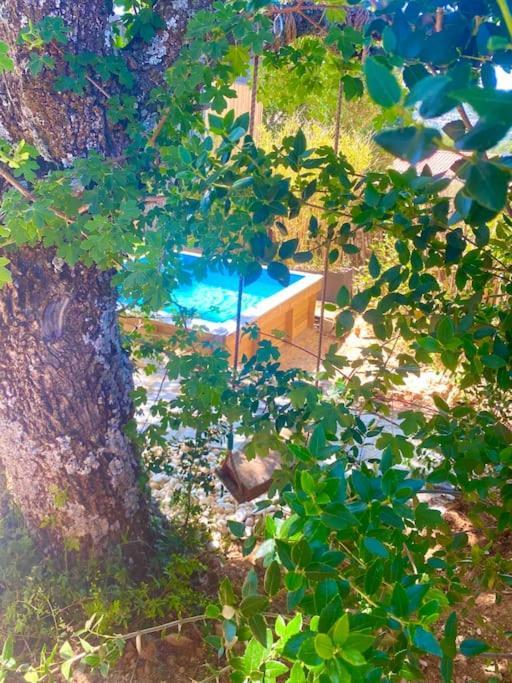 Villa Tiny Liloumaca Coeur Ste Baume à Plan d'Aups Extérieur photo